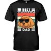 Best Goldendoodle Dad Ever Funny Dog Gift for Men and Boys Premium Fit Mens Tee